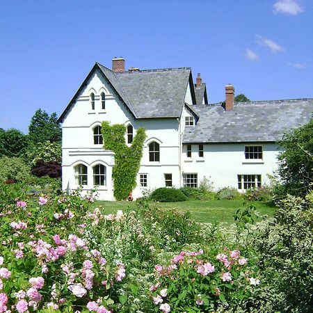 The Forest Country House B&B ニュータウン エクステリア 写真